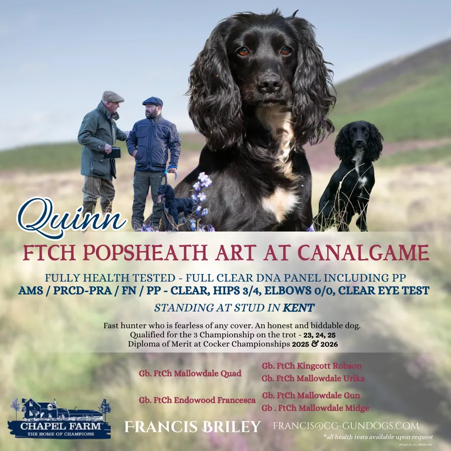 FTCH Popsheath Art at CanalGame