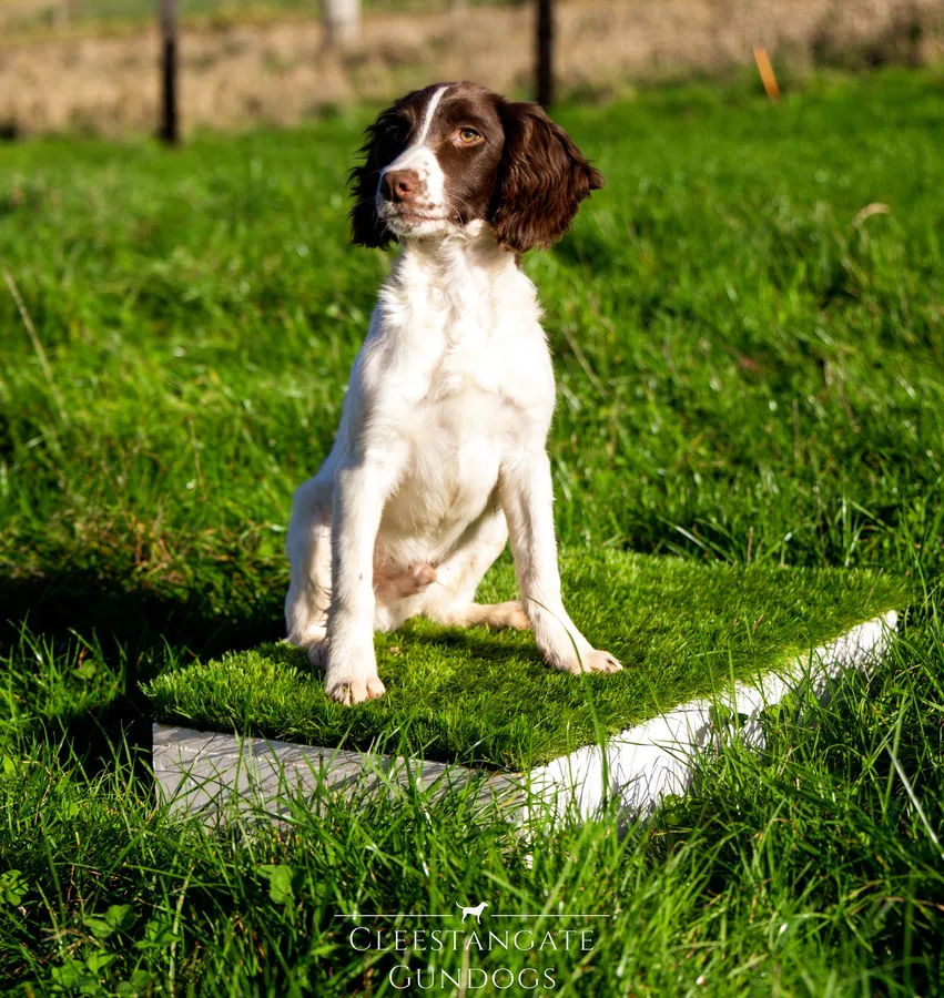 FTCH x FTCH with Training Started