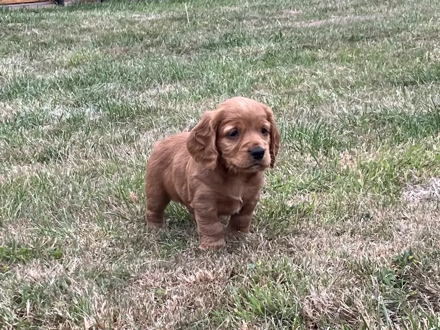 Boy #1