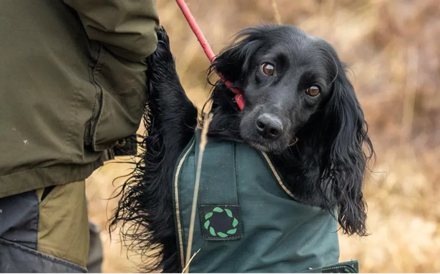 At Stud-FTCH Heathcroft Karter