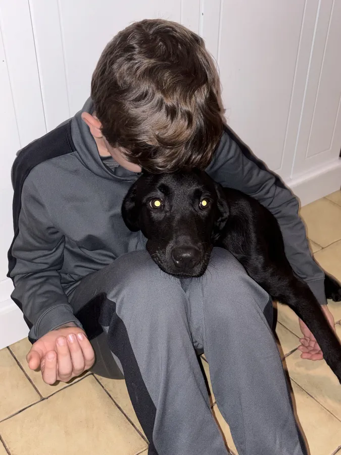 Black male 4 months old