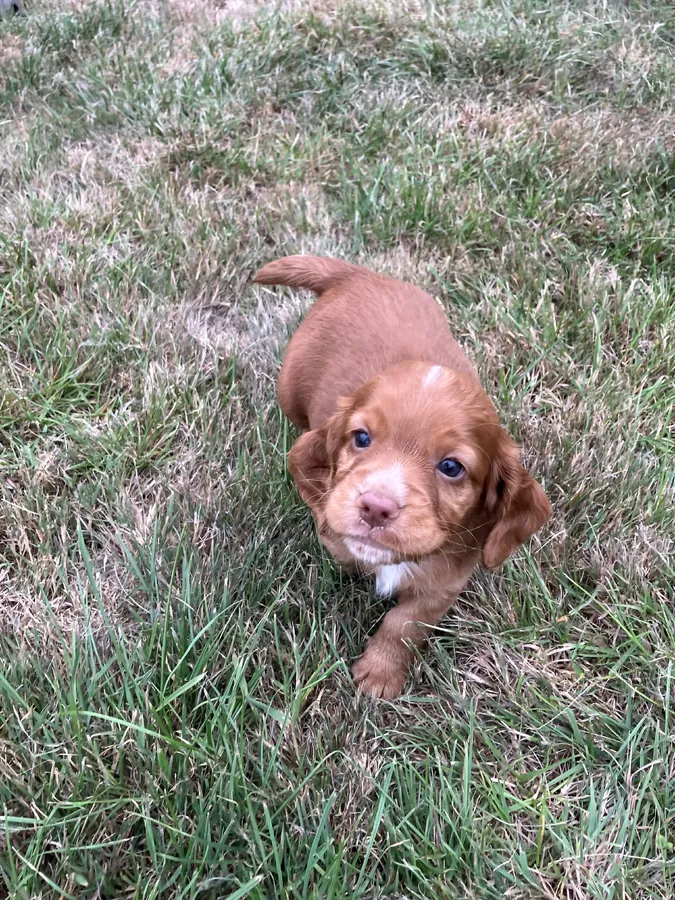Boy #2