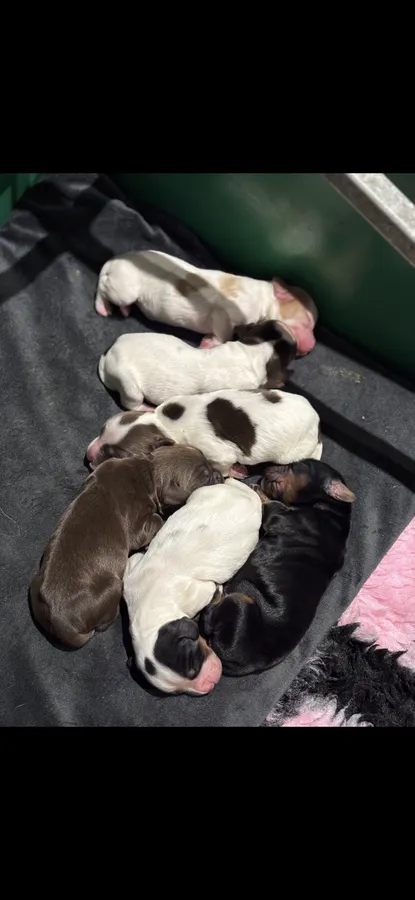 KC health tested wcs due mid November