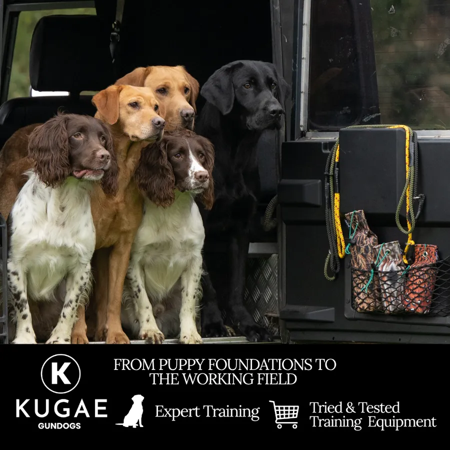 kugagegundogs