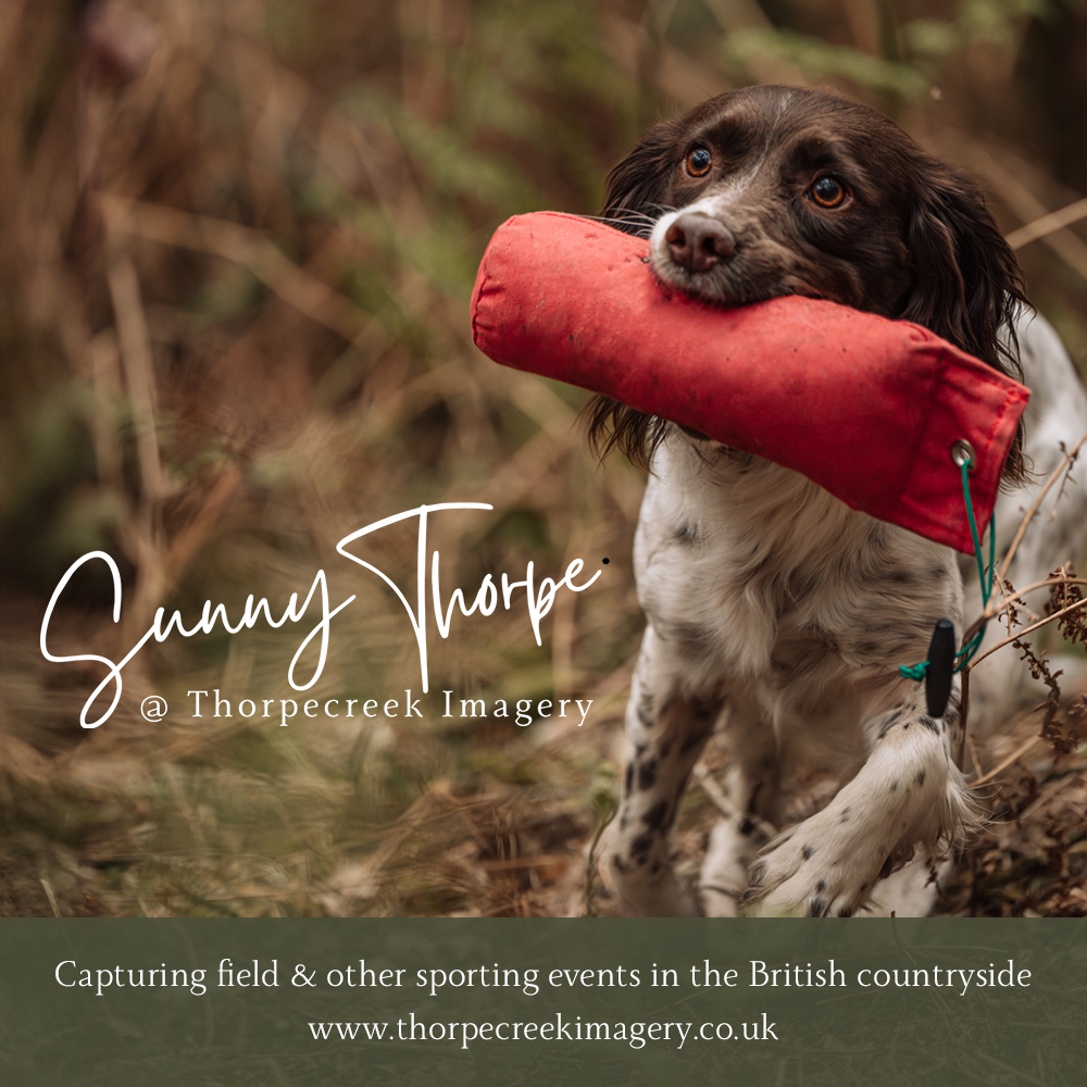 Meet Sunny Thorpe @ Thorpecreek Imagery