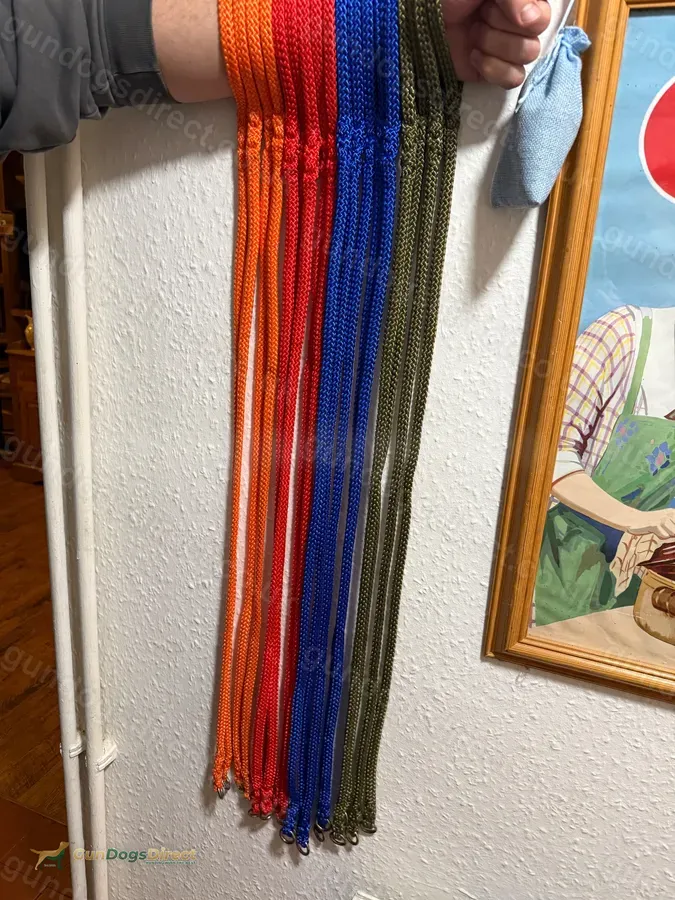 Slip leads image 2