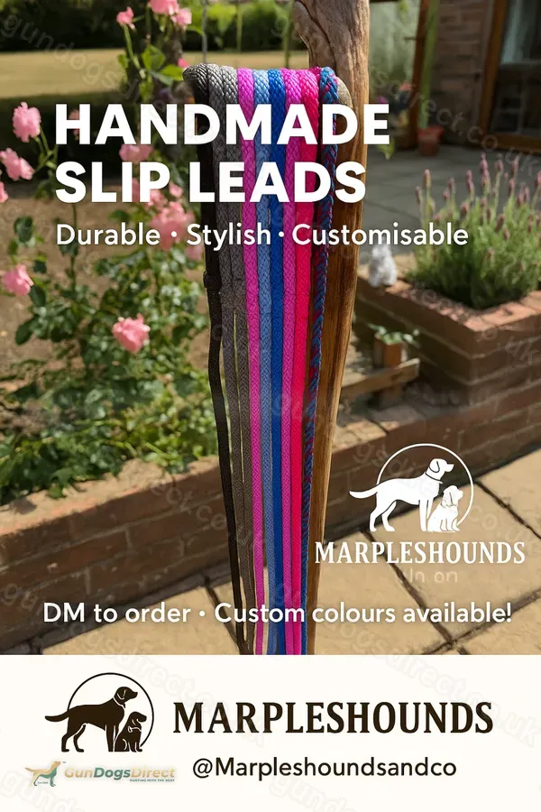 Slip leads