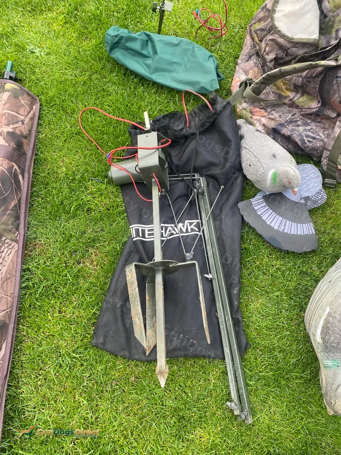 Pigeon shooting image 4