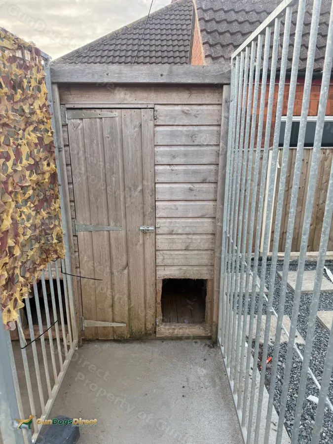 3 block of kennels and runs image 2