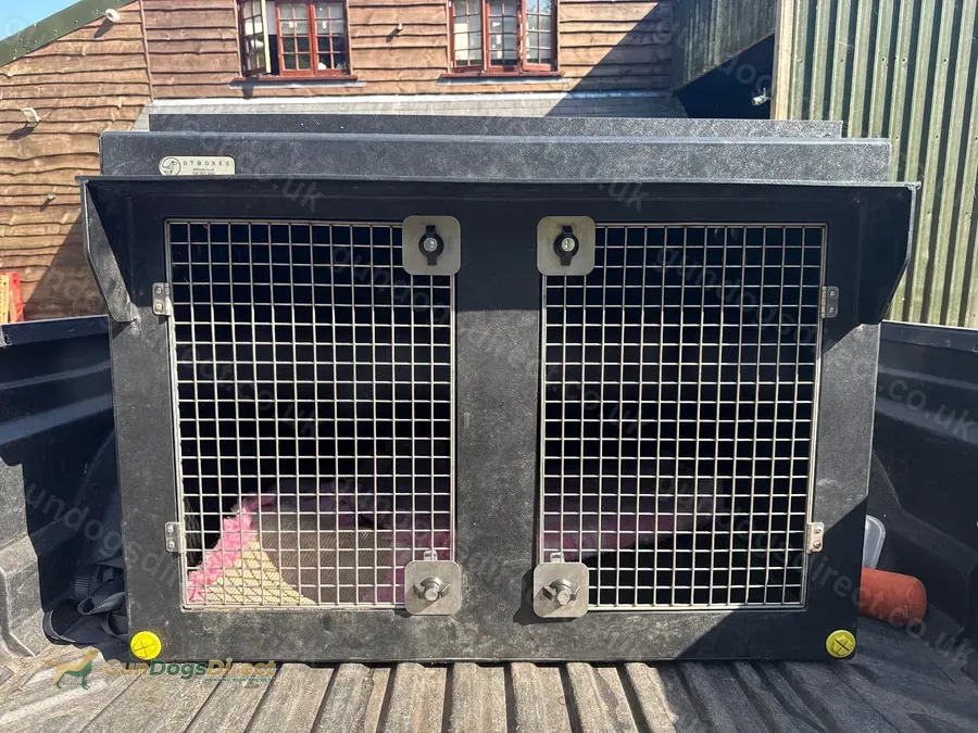 DT1000 with all weather kit image 2