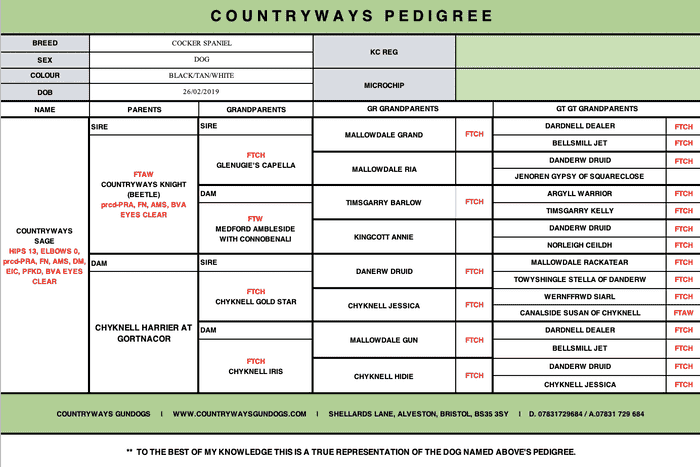 Countryways Sage,FULLY HEALTH TESTED